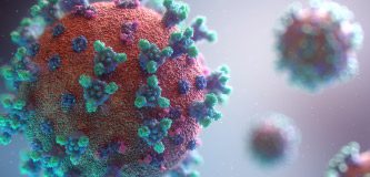 Kết luận về Virus