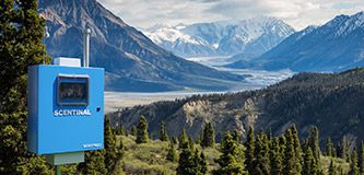 Giám sát không khí xung quanh