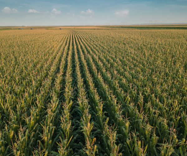 Ứng dụng UAV trong lãnh vực nông nghiệp hiện nay